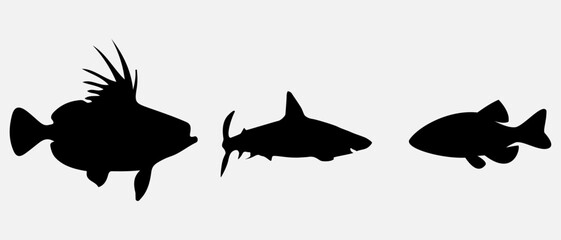 isolated black silhouette of a fish , vector collection
