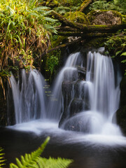 Fototapeta premium eau