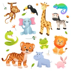 Stickers meubles Zoo Set of wildlife animals cartoon character with decorative natural elements . Vector .