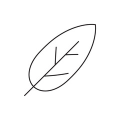 Leaf vector line icon. Leaf flat sign design. Leaf symbol isolated pictogram. UX UI icon of leave. Linear icon outline symbol