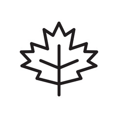 Maple leaf vector line icon. Leaf flat sign design. Leaf symbol isolated pictogram. UX UI icon of leave. Linear icon outline symbol