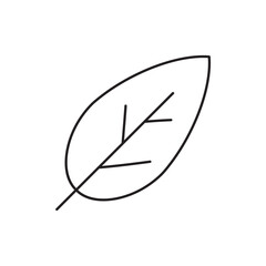 Leaf vector line icon. Leaf flat sign design. Leaf symbol isolated pictogram. UX UI icon of leave. Linear icon outline symbol