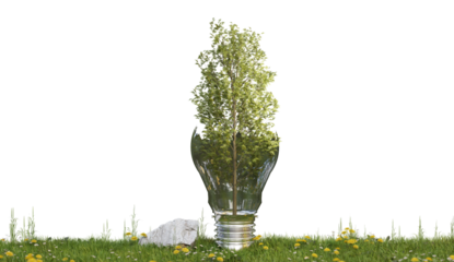 tree in bulb on grass filed PNG design, environment frieldly concept, 3d illustration rendering