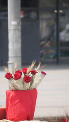 Fiesta de Sant Jordi Barcelona 2023