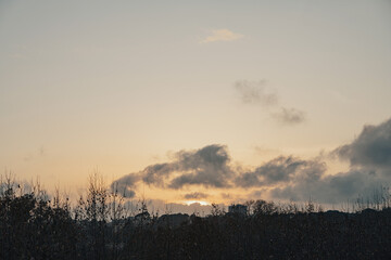 Fototapeta premium A day at Montpellier