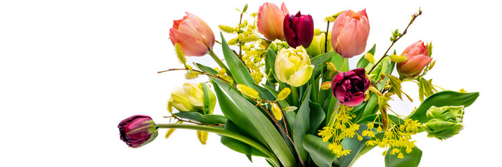 Elegant mixed tulips spring bouquet in white vase on white banner with copy space. Spring tulips. Tulips bouquet.