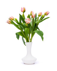 Fototapeta na wymiar Elegant pastel pink Dreamer tulips spring bouquet in white vase on white background. Spring tulips. Tulips bouquet cut out.