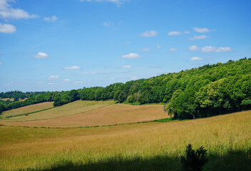 Fototapeta na wymiar Views over farm fields and woodland