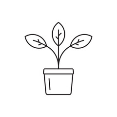 Plant vector linear icon. Houseplant flat sign design. Seedling nature plant symbol isolated pictogram. Plant UX UI icon symbol outline sign 