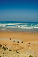 Mule-driven workers moving along a beach on the Atlantic Ocean in Morocco to collect molluscs from mussels. Beach and waves. 03-15-2023.