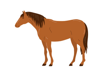 Horse brown mustang. A beautiful elegant animal with a mane and hooves. Sport and hippodrome. Vector illustration isolated on white background