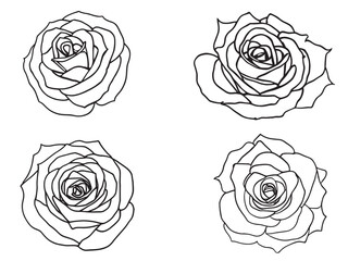 Beautiful Roses Outline Flower Set Illustration Vector Art design