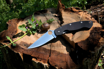 Folding knife beautiful design cutting silver edge black carbone fiber handle dry tree stump green grass flowers snail