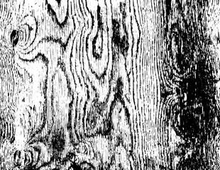 Rustic grunge texture with grain and stains. Abstract noise background. PNG graphic illustration with transparent background.