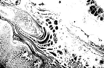 Rustic grunge texture with grain and stains. Abstract noise background. PNG graphic illustration with transparent background.