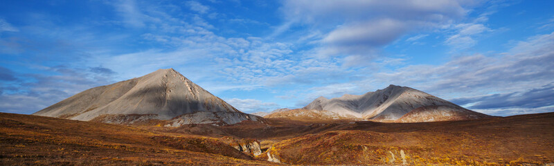 Fototapeta premium Autumn in polar tundra