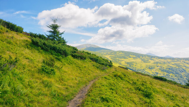 path through the mountain hill. wonderful landscape of carpathian mountains in summer. travel ukraine