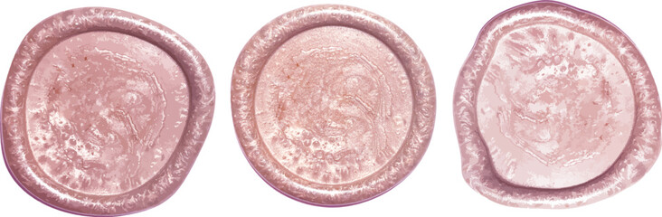 a set of wax seal stamp, pink pastel color, wedding invitation, honey moon, bridal shower, bachelorette, christmas palette, luxurious invite	