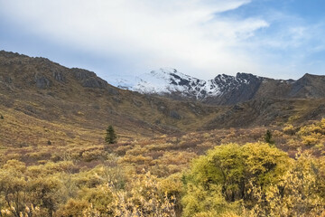 Canada, Yukon, view of the tundra in autumn