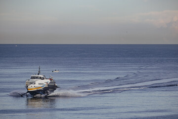 Naklejka premium Passenger pax cargo car roro ro-ro ferry boat vessel cruiseship cruise ship liner at sea with blue sky
