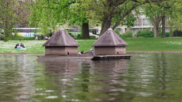 Zwei Entenh&auml;user auf einem Teich im Kurpark Wiesbaden