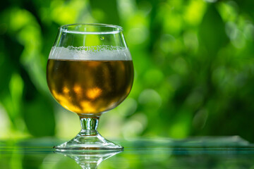 glass of beer, apple cider on green blurred