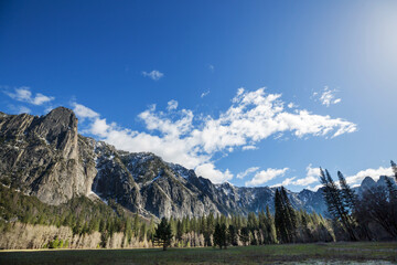 Spring in Yosemite