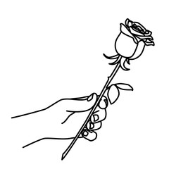 Hand holding a rose and giving it. Man gives a flower to a woman. Hand drawn with thin line. Png clipart isolated on transparent background