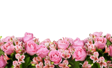 Border with pink roses and alstroemeria flowers isolated on white or transparent background