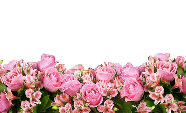 Border with pink roses and alstroemeria flowers isolated on white or transparent background