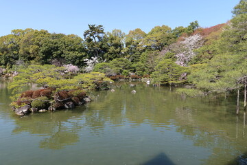 A scene of Seiho-ike Pond and Higashi-shin-en Japanese Garden in the precincts of Heian-jingu Shrine in Kyoto City in Japan 日本の京都市の平安神宮境内にある 東神苑と栖鳳池と風景