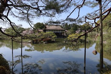 A scene of Shobi-kan Hall for special guests and Seiho-ike Pond and Higashi-shin-en Japanese Garden in the precincts of Heian-jingu Shrine in Kyoto City in Japan 日本の京都市の平安神宮境内にある 東神苑と栖鳳池と尚美館の風景