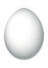 Egg - illustration on white background