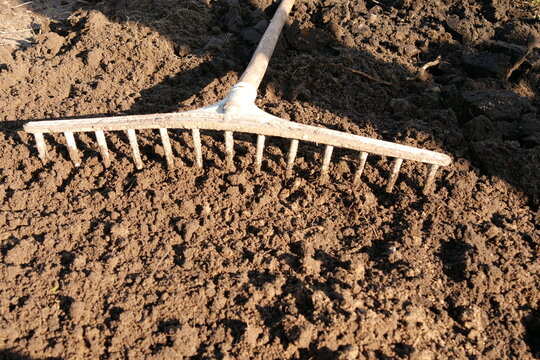 soil leveling with a rake