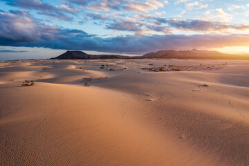 Fototapeta na wymiar Panoramic high angle aerial drone view of Corralejo National Park (Parque Natural de Corralejo) with sand dunes located in the northeast corner of the island of Fuerteventura, Canary Islands, Spain.
