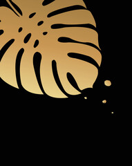 illustration of apalm Leaves