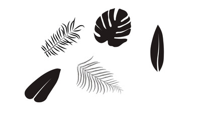Set of tropical leaves for stylish design. vector image