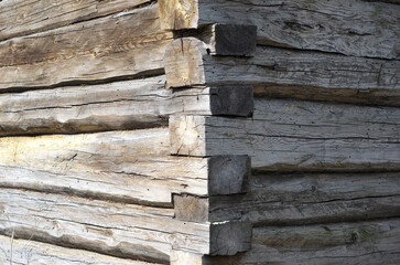 wall made of timber corner of an old wooden house. cracks in a wooden house.