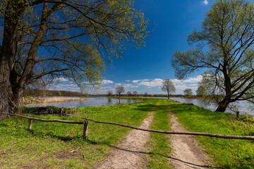 Wiosna na bezdrożach otoczonych dzikimi stawami, w tle niebieskie niebo z białymi obłokami, Polska