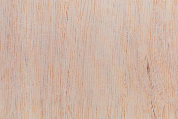 Light rough textured cut surface of an African tree. Wood background or blank for design