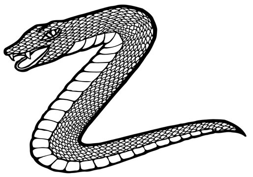 recommend clip art: line art of a snake with scales
