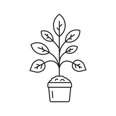 Fototapeta na wymiar Plant vector linear icon. Houseplant flat sign design. Seedling nature plant symbol isolated pictogram. Plant UX UI icon symbol outline sign 