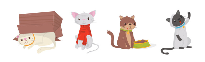 Playful Cats as Fluffy Feline with Cute Snout in Different Pose Vector Set