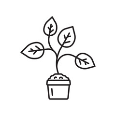 Plant vector linear icon. Houseplant flat sign design. Seedling nature plant symbol isolated pictogram. Plant UX UI icon symbol outline sign 