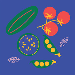 Abstract appetizing Vegetables collection. Decorative abstract horizontal banner with colorful doodles. Hand-drawn modern illustrations with Vegetables, abstract elements. Cucumber, peas, pepper.