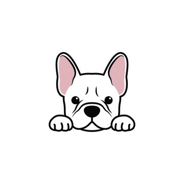 Cute white french bulldog cartoon isolated on a white background, vector illustration