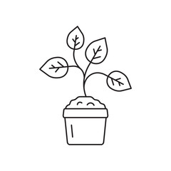 Plant vector linear icon. Houseplant flat sign design. Seedling nature plant symbol isolated pictogram. Plant UX UI icon symbol outline sign 