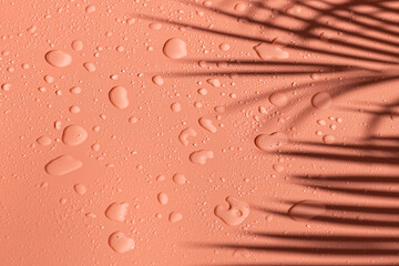 Beautiful pink background with water drops and shadow of a palm tree branch.