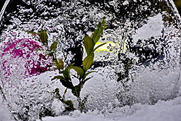 Abstract ice pattern and drawing appearing on the surface of the water when freezing. Refraction...