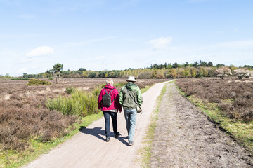 Two sporty people walk on a beautiful sunny day through the Zuiderheide nature reserve between Laren and Hilversum.